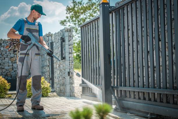 Best Roof Washing  in Pocahontas, IA